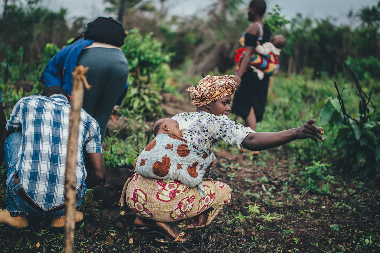Coopératives agricoles